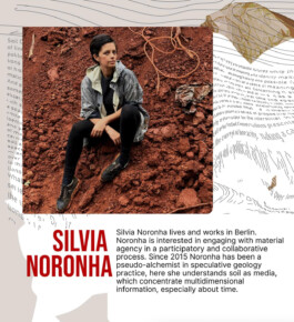 Silvia Noronha